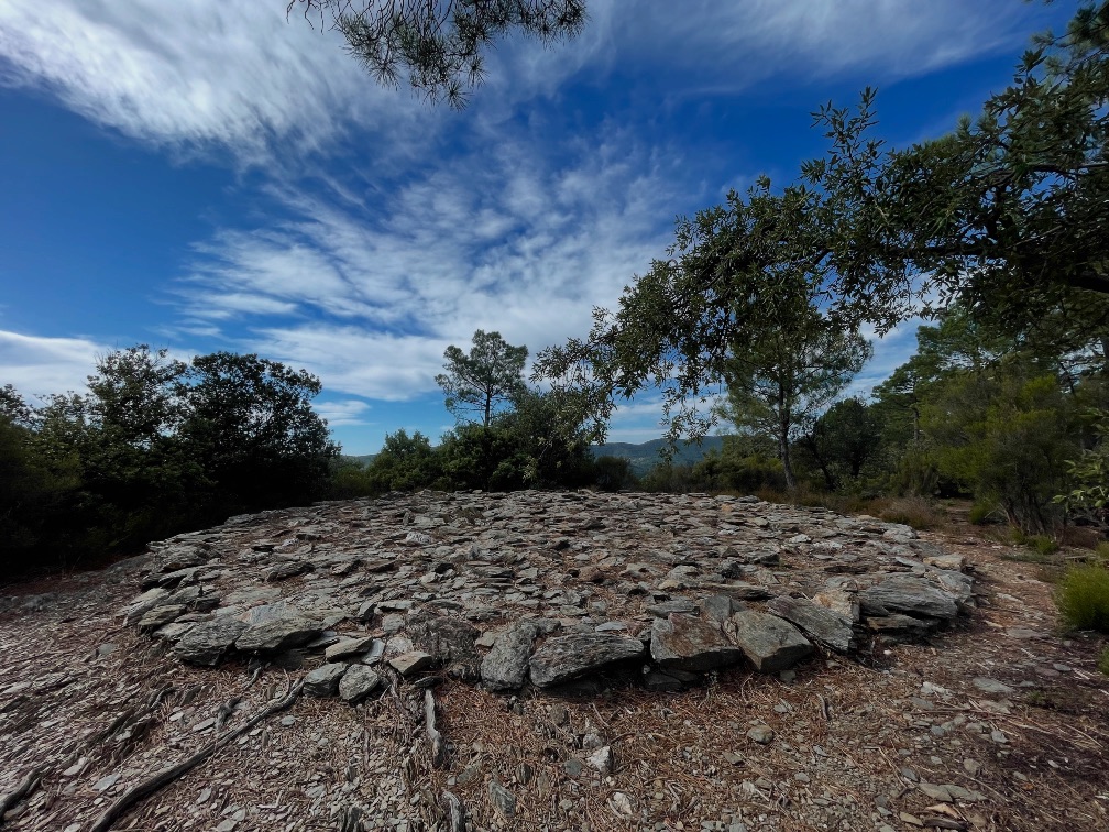 Médiation Éco-sensible